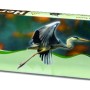 Velda Fischreiher Abwehr Heron Stop Packung für den Teich, Reiherabwehr