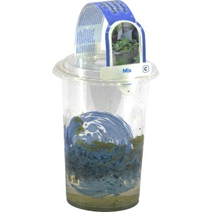 Schwimmpflanzen-Mix im Becher (Topf ca. 12cm) für Gartenteiche. Sauerstoffpflanzen Elodea, Cabomba und Lysimachia.