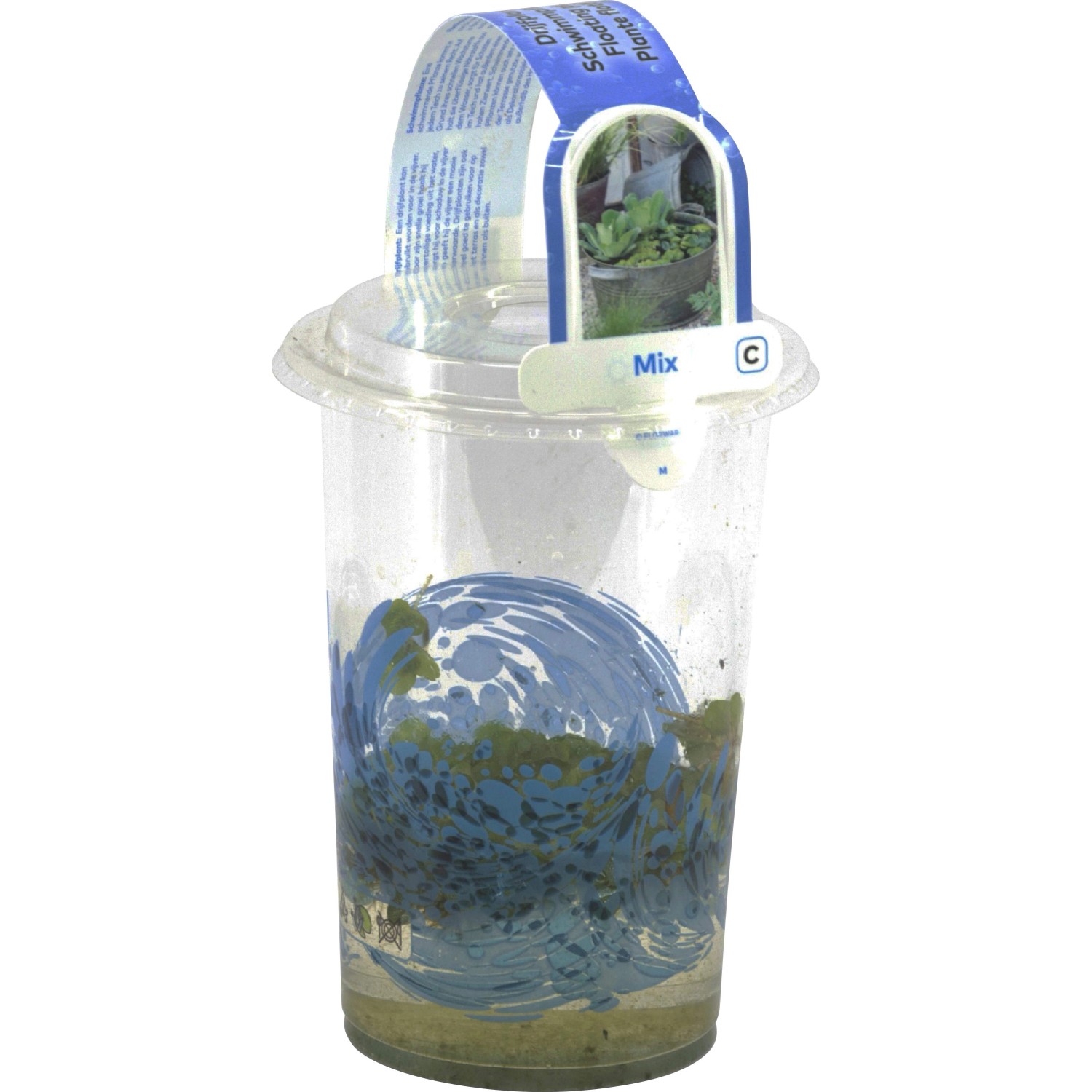 Schwimmpflanzen im Becher TopfØ ca. 12 cm kaufen bei OBI