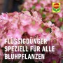 Compo Blühpflanzendünger 1 l_4