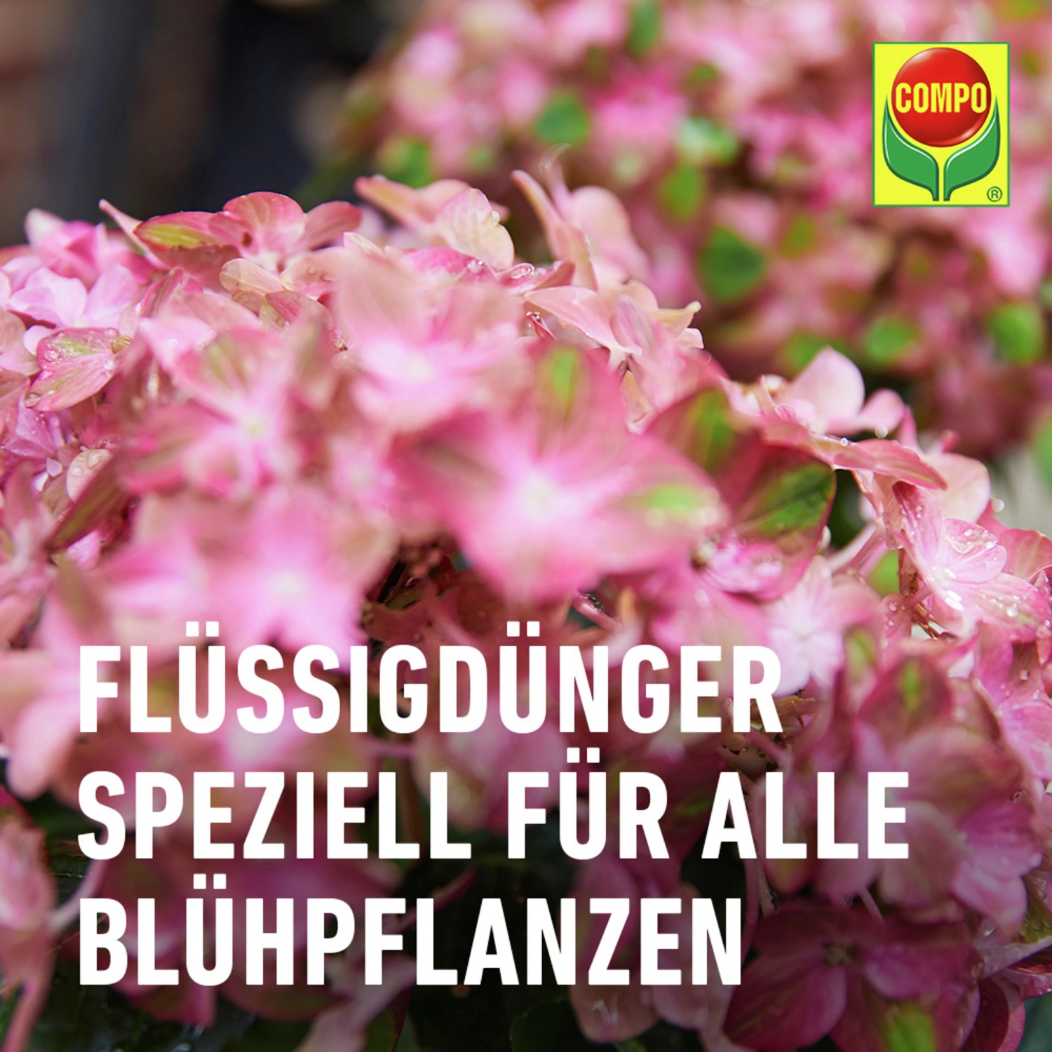Compo Blühpflanzendünger 1 l_4