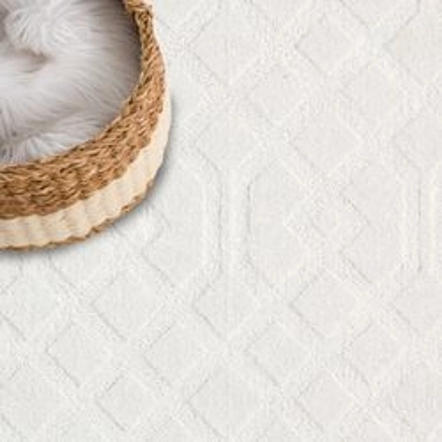 Detailansicht: Hochflor Teppich Esso in Creme (160x230 cm) mit geometrischem Muster.