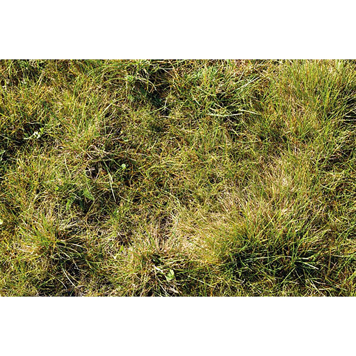 Scherf Schotterrasen - Vegetationstragdeckschicht 0 mm - 16 mm 1.000 kg Big-Bag