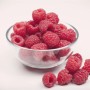 Frische, rote Himbeeren der Sorte Rubus Idaeus Aroma-Queen in einer Glasschale.
