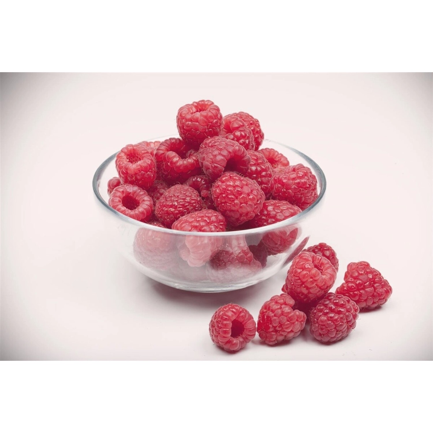 Rubus Idaeus Aroma-Queen -S- Himbeere Aromatisch 40–60 Cm günstig online kaufen