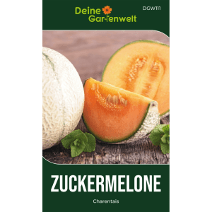 Charentais Zuckermelone: ganze Frucht, halbiert und als Scheibe mit orangefarbenem Fruchtfleisch. Gemüsesamen.
