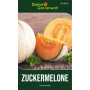 Charentais Zuckermelone: ganze Frucht, halbiert und als Scheibe mit orangefarbenem Fruchtfleisch. Gemüsesamen.