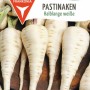 FRANKONIA Pastinaken Weiß