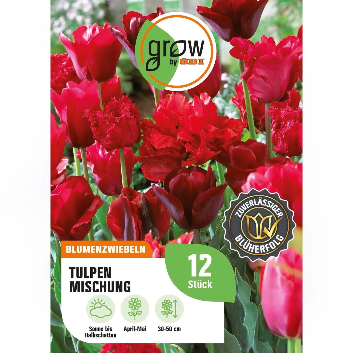 GROW by OBI Tulpen Mischung Nr.5 / 12 Stück Tulipa mix
