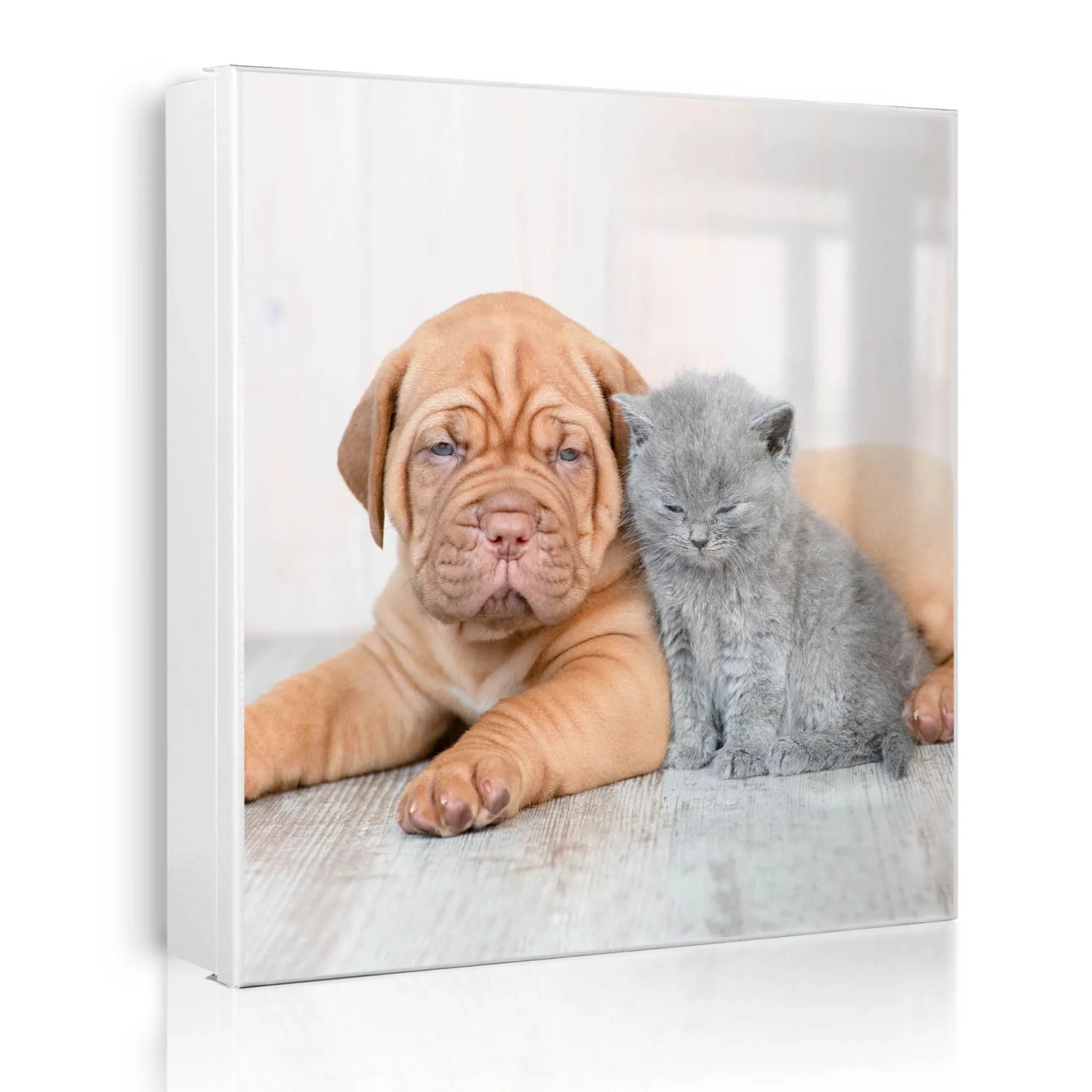 Banjado Großer Schlüsselkasten Metall 30x30cm Weiß Scharnier Links 50 Haken Beschreibbar Magnetisch Motiv Hund Und Katze