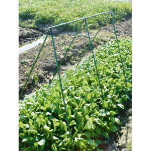 Grünes Rankgestell 150 cm im Beet für hochwachsende Pflanzen.