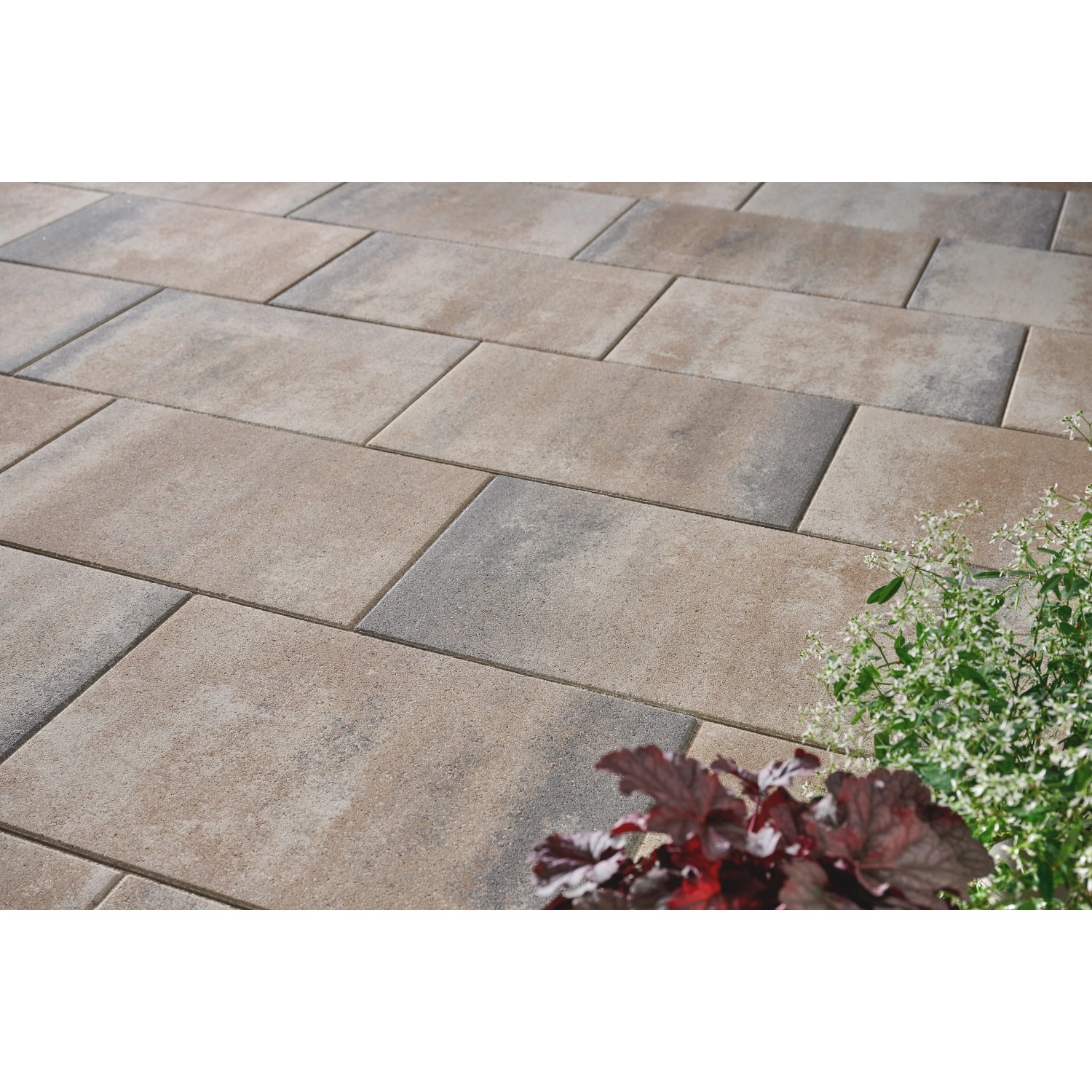 Rechteckige Kann Platte Bologna Jura-Nuanciert (60x40x5 cm) für Terrasse & Gartenwege.