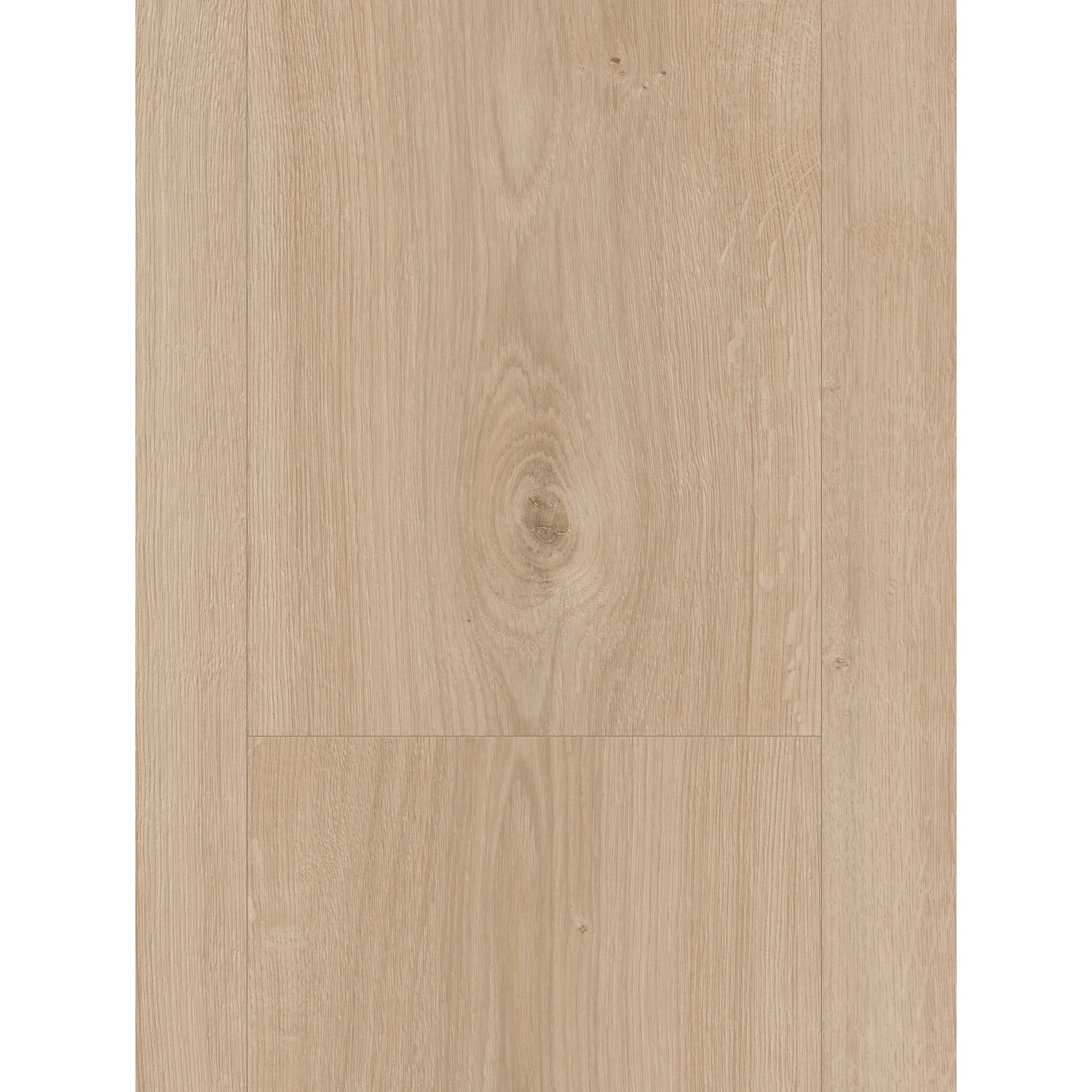 Parador Laminat Basic 600, 8mm, wasserfest, helle Holzoptik für Wohn- und Gewerberäume.