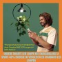 Smarte WiZ LED Lampe E27 in Glühlampenform mit App-Steuerung und Energiesparfunktion.