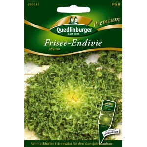Quedlinburger Frisee Myrna Saatgut: Friseesalat für Gemüsebeet und Hochbeet.