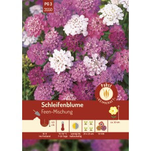 Pabst Schleifenblume Feen-Mischung Saatgut mit rosa, lila und weißen Blüten.