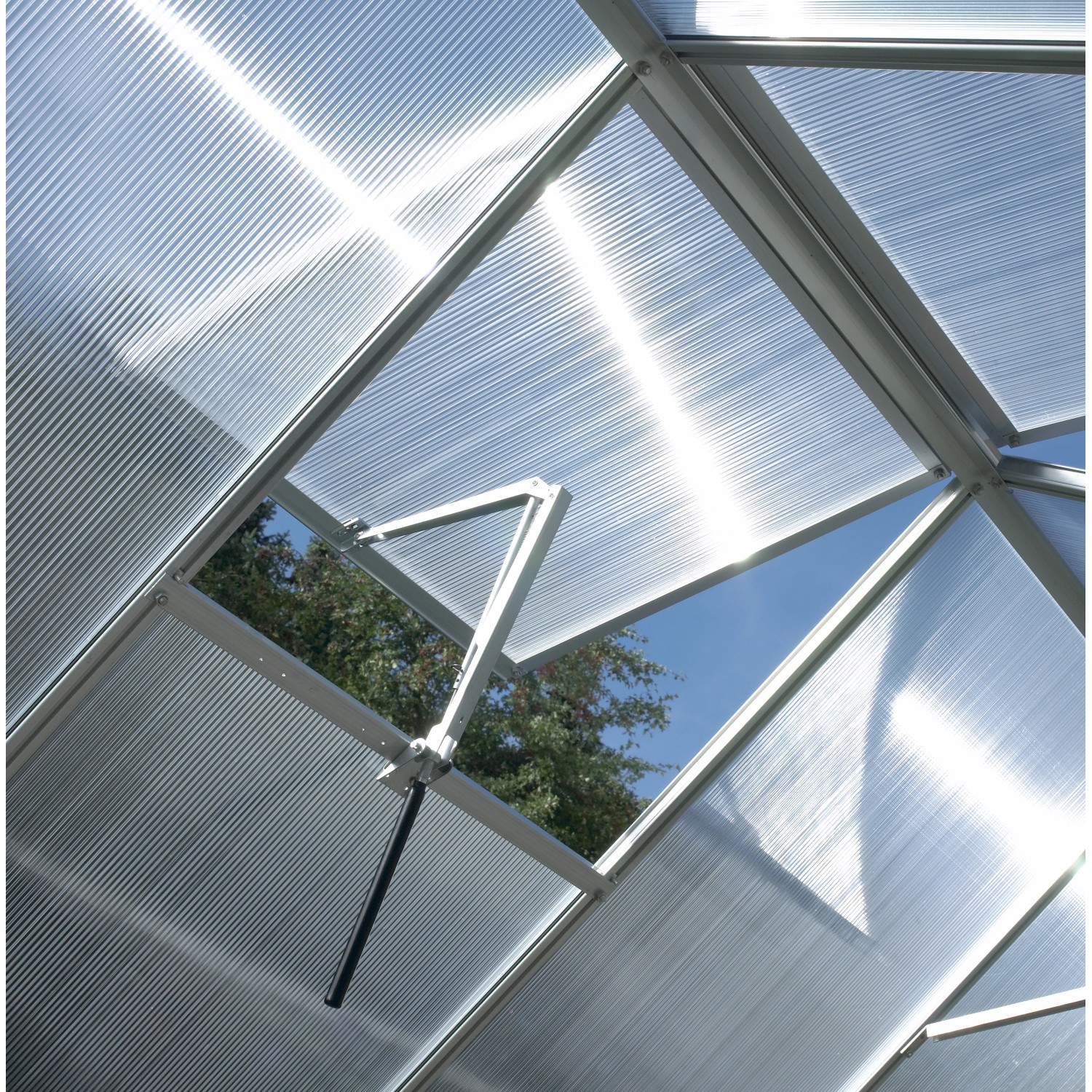 Detailaufnahme des Dachfensters vom Vitavia Gewächshaus Calypso 3000 HKP, mit geöffnetem Fenster.