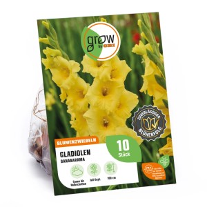 Verpackung der gelben Gladiole 'Bananarama' von GROW by OBI, 10 Stück Blumenzwiebeln.