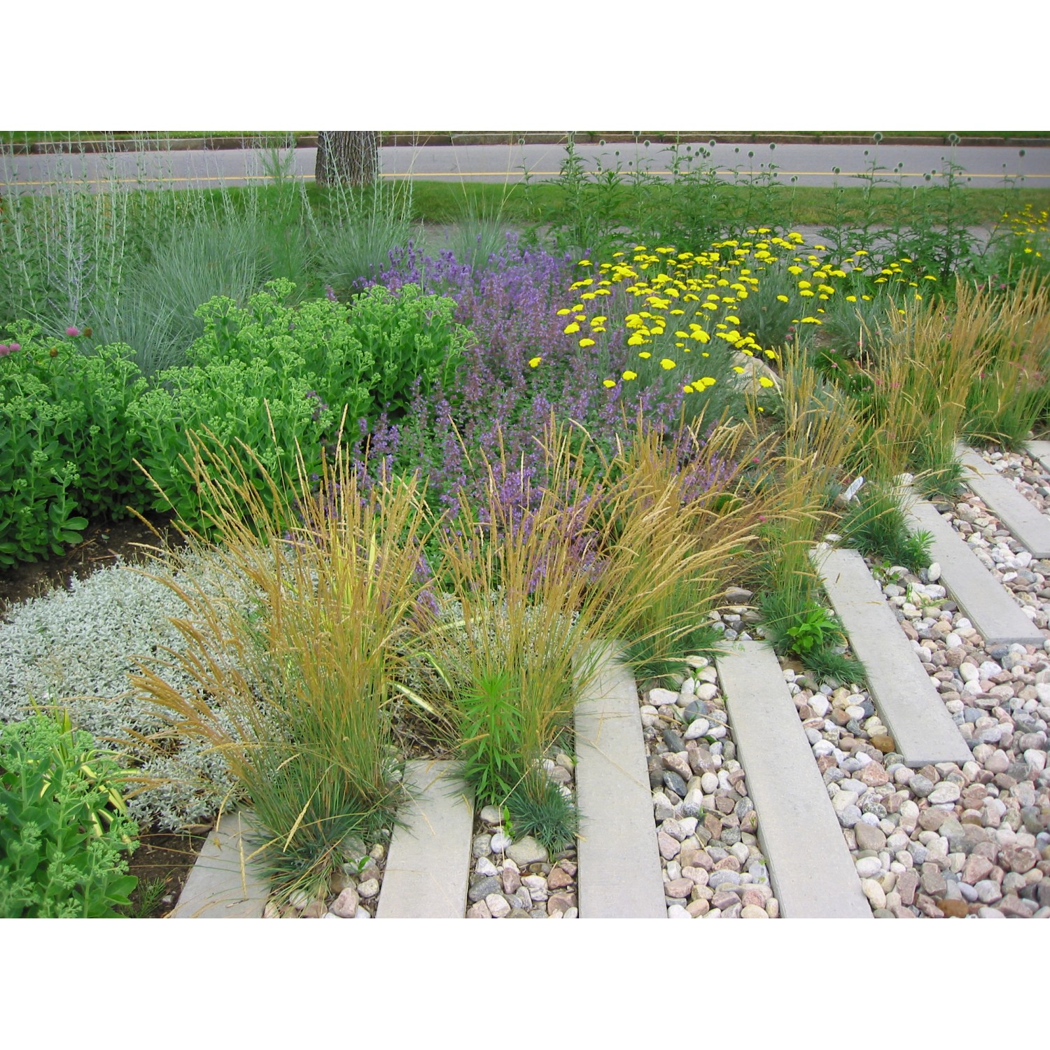 Bunter Gartenweg mit Buntkies Rhein (40-80 mm) zwischen Betonplatten und üppiger Bepflanzung.