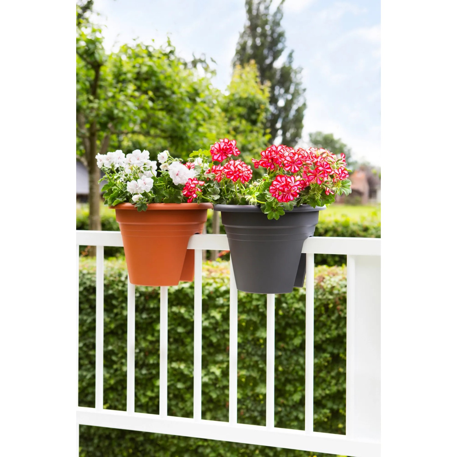 Florus Geländertopf Mediterran 30 cm anthrazit kaufen bei OBI