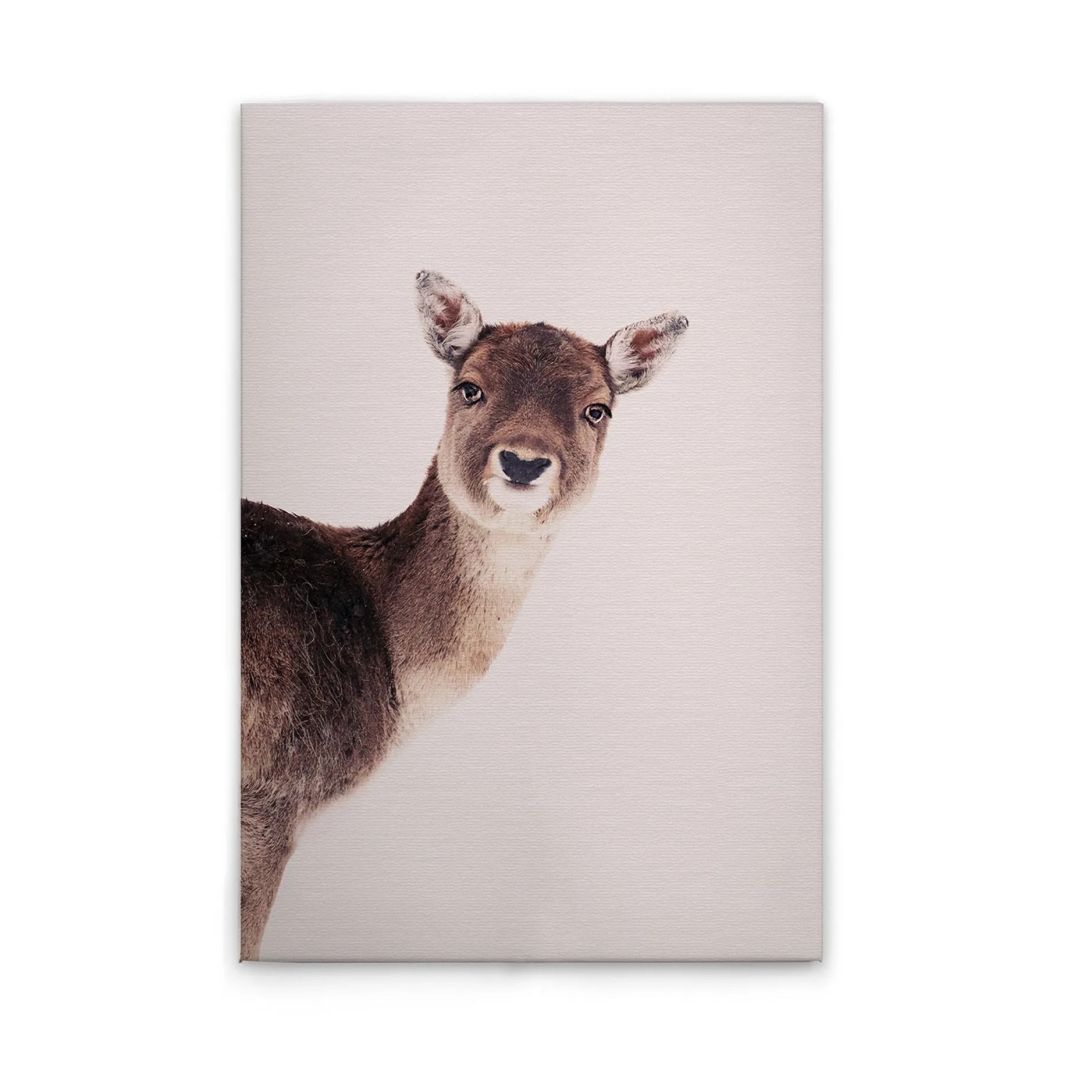 Tadessi Leinwandbild - M1-No.51156 - Tiere Hirsch Rosa - 30 x 45 cm - Querformat