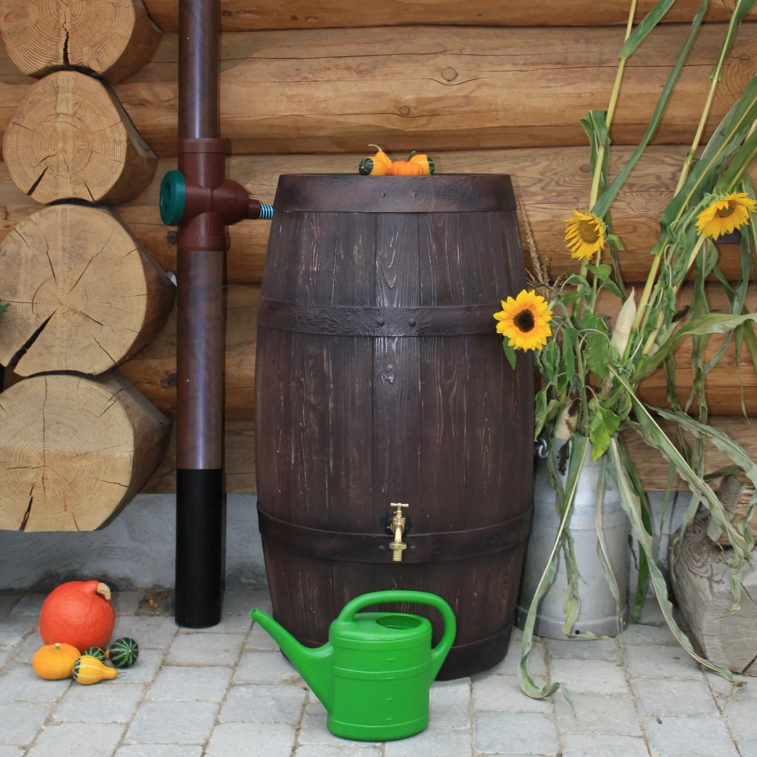Dunkelbraune Arves Regentonne Barrique 250 l in Holzfass-Optik mit Zubehör wie Gießkanne und Kürbissen.