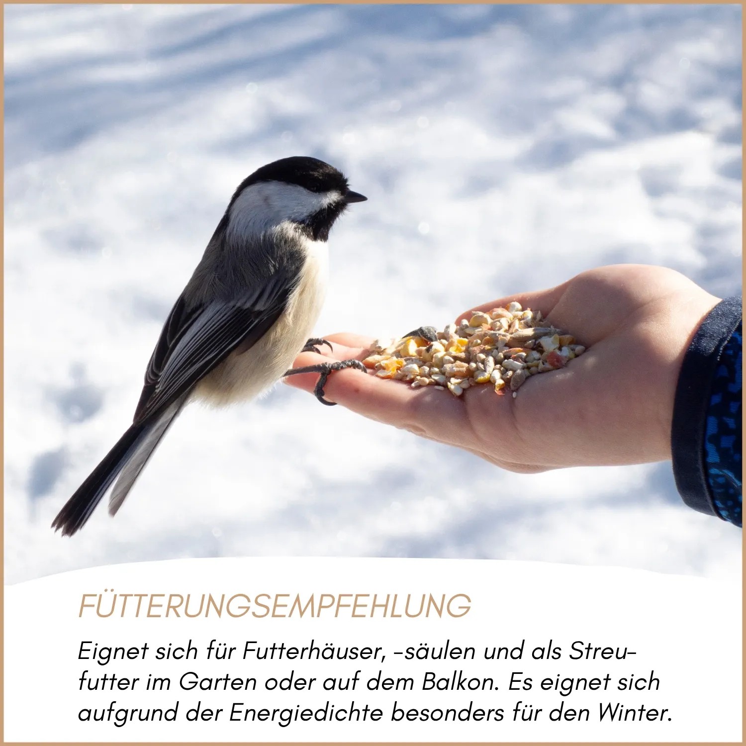 Supravit Winterfuttermischung Streufutter für Wildvögel_5