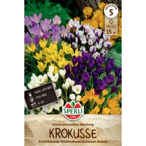 Sperli Wildkrokus Botanische Mischung mit Blüten in Weiß, Gelb und Violett.