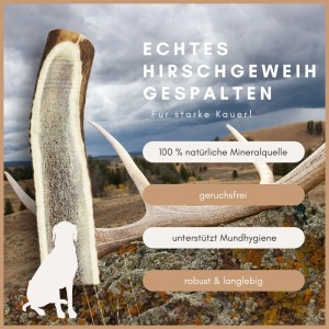 Supravit Hirschgeweih Kauspielzeug für Hunde, Größe S, zur Förderung der Zahngesundheit.