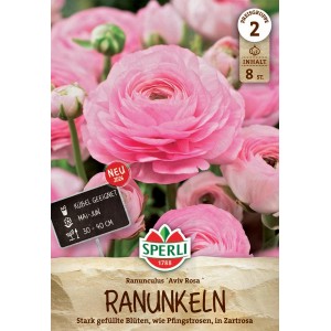 Sperli Blumenzwiebeln Ranunkeln Rosa
