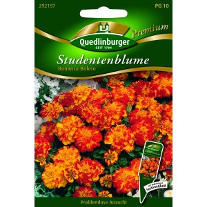 Quedlinburger Studentenblumen 'Bonanza Bolero' Samenpackung mit orange-roten, gefüllten Blüten.