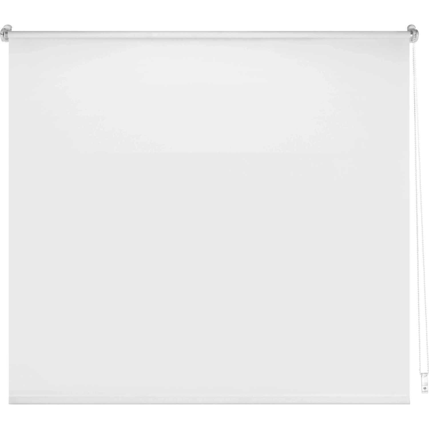 Weißes Tageslicht-Rollo Zamora, 100x175 cm, für Sichtschutz ohne Verdunkelung.