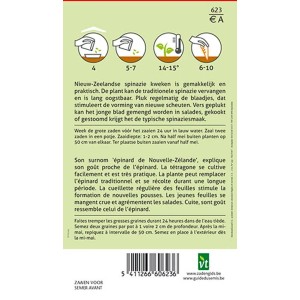 Spinat New Zealand SamenCa. 2 grHohe Menge an Vitamin K