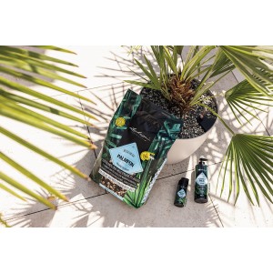 Lechuza Palm Pon Pflanzsubstrat 12L mit Palme und Dünger für Hydrokultur & Kübelpflanzen.