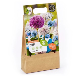 GROW by OBI Allium-Kollektion: Blumenzwiebeln-Mischung mit lila, weißen und blauen Zierlauchblüten.