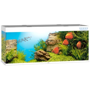 Weißes Juwel Aquarium-Set Rio LED 450 l mit Fischen, Pflanzen und Dekoration.