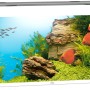 Weißes Juwel Aquarium-Set Rio LED 450 l mit Fischen, Pflanzen und Dekoration.