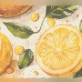 Selbstklebende Bordüre mit Zitronenmuster in Gelb und Grün, 5 m lang.