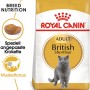 Royal Canin British Shorthair Katzenfutter Trocken, 2kg Packung für Britisch Kurzhaar Katzen.