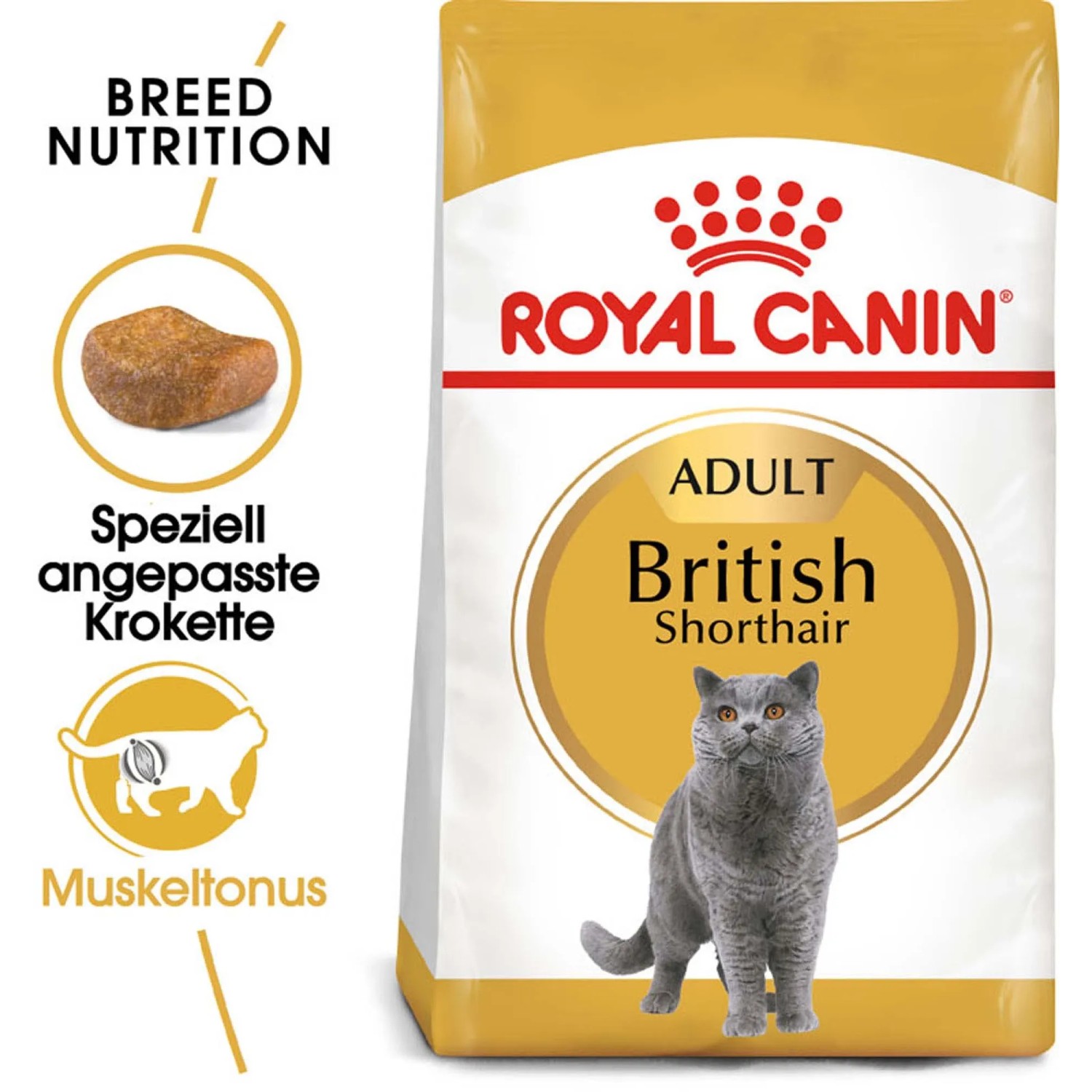 Royal Canin British Shorthair Katzenfutter Trocken, 2kg Packung für Britisch Kurzhaar Katzen.