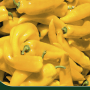 Samenpackung: Deine Gartenwelt Chili Hungaria Yellow Wax Hot, gelbe, längliche Chili.