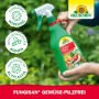 Neudorff Fungisan Gemüse-Pilzfrei 1l Flasche in der Hand, zur Bekämpfung von Pilzerkrankungen an Gemüse.