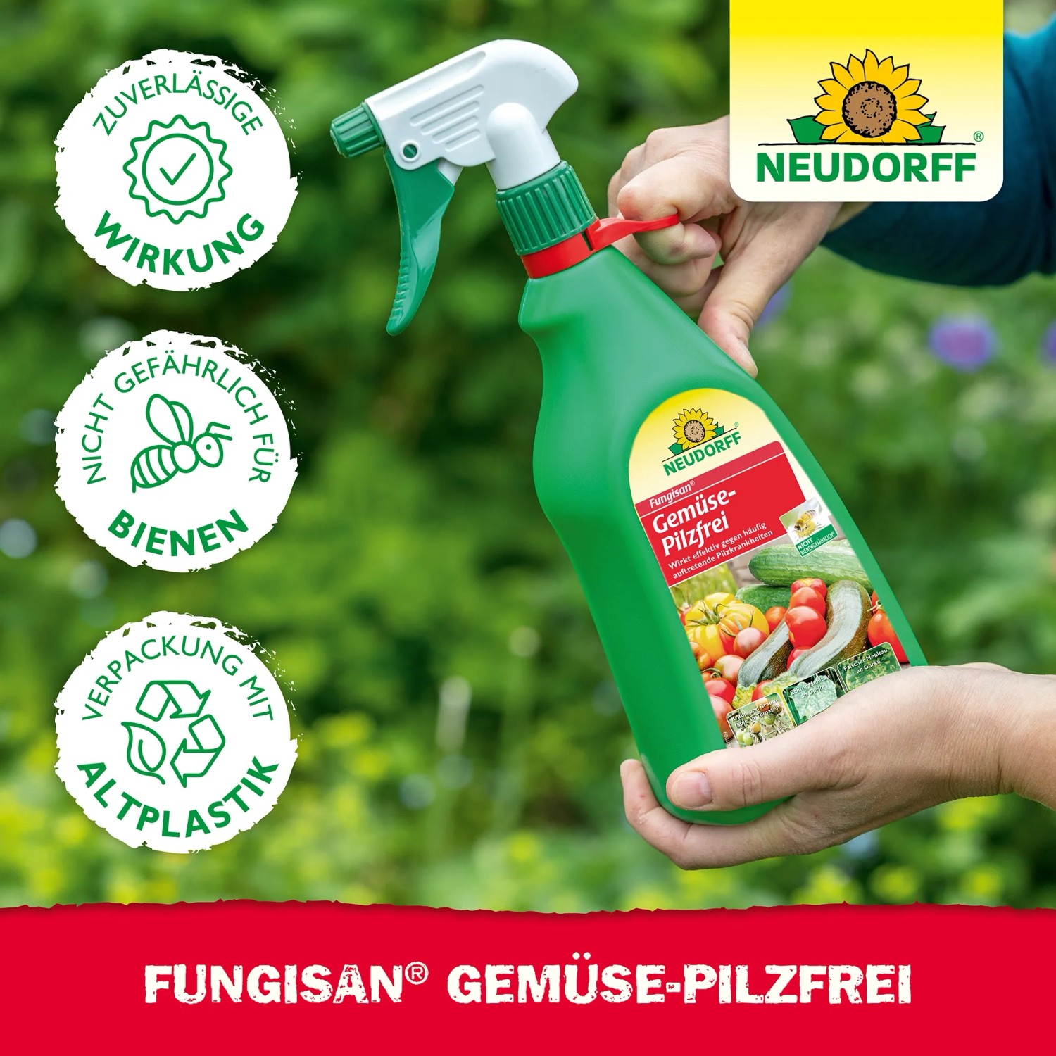 Neudorff Fungisan Gemüse-Pilzfrei 1l Flasche in der Hand, zur Bekämpfung von Pilzerkrankungen an Gemüse.
