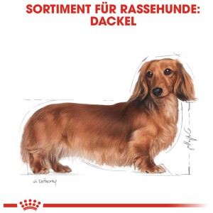 Royal Canin Dachshund Adult Trockenfutter für Dackel, 1,5kg Packung.