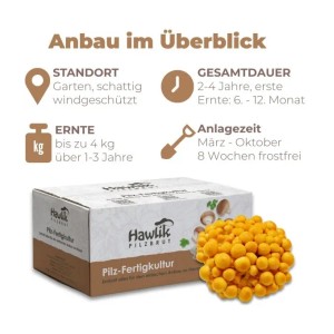 Hawlik Pilzbrut Toskanapilz Pilzbeet-Set für Einfache Pilzzucht Im Garten mit Substrat und Myzel inkl. Anbau-Anleitung
