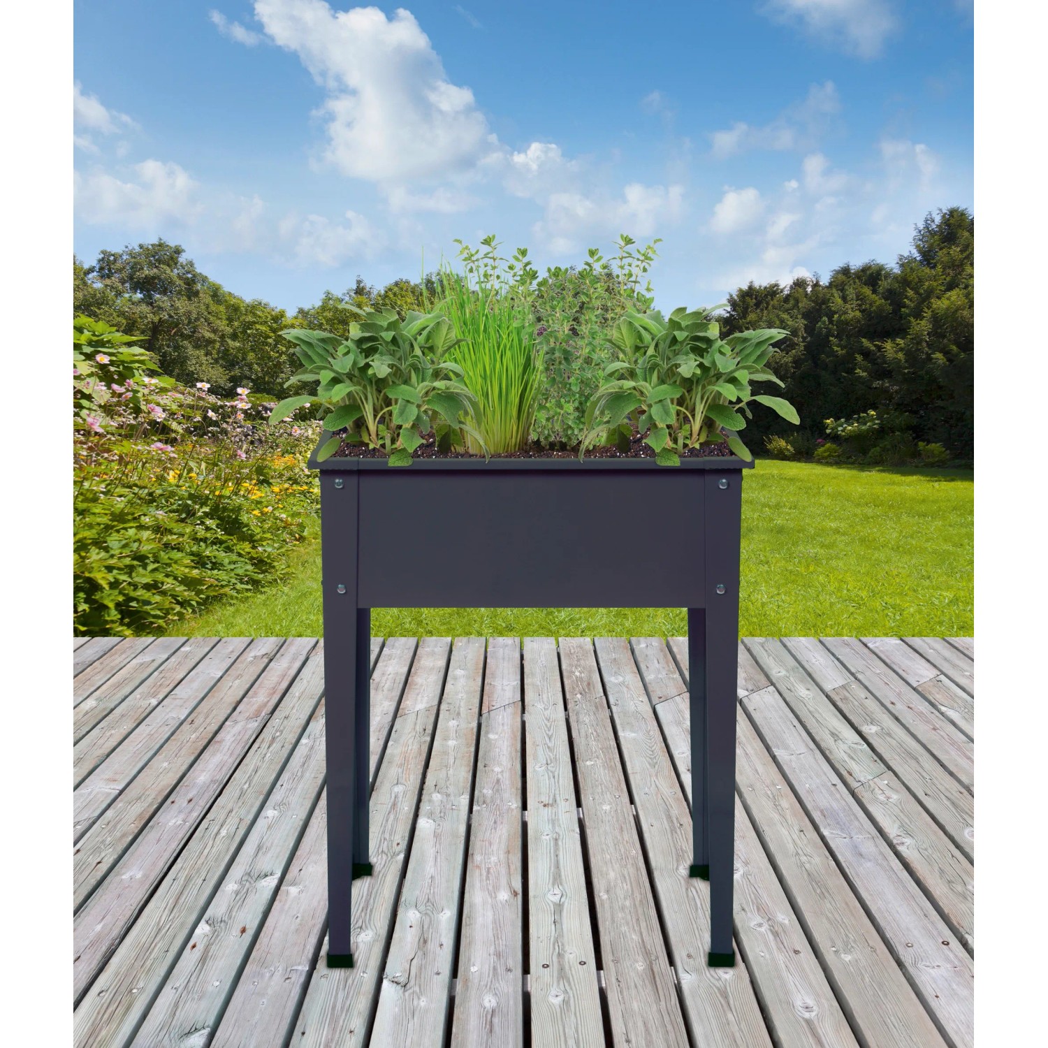 Floraworld Hochbeet Season, anthrazit, 60x30x80 cm, bepflanzt mit Kräutern, auf Holzterrasse.