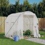Weißes furnicato Gewächshaus mit Stahlrahmen, 4 m², mit Pflanzen und Gartengeräten im Garten.
