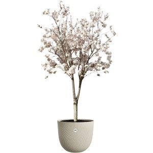Beiger Elho Blumentopf Sereh (Ø 47 cm) mit blühendem Baum, geeignet für Innen- und Außenbereich.