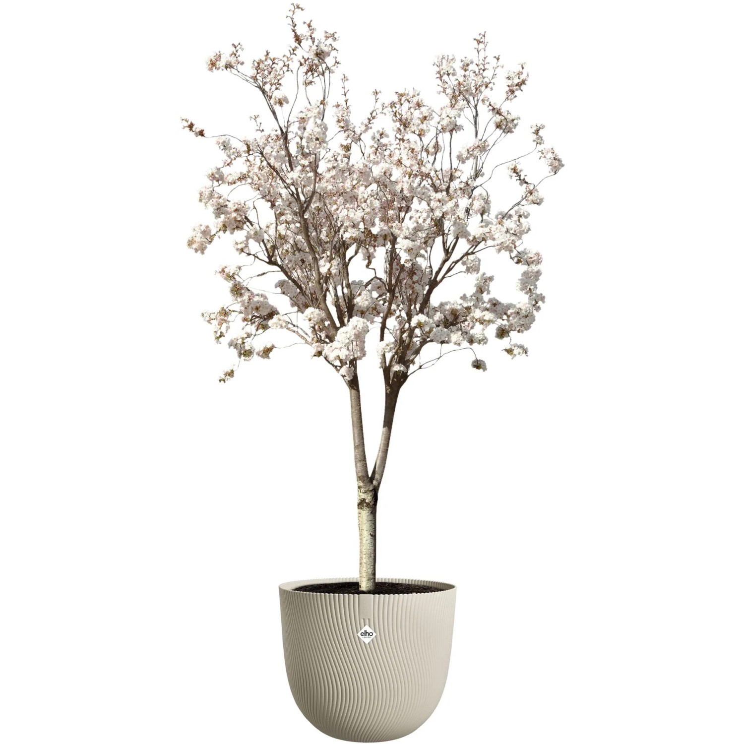 Beiger Elho Blumentopf Sereh (Ø 47 cm) mit blühendem Baum, geeignet für Innen- und Außenbereich.