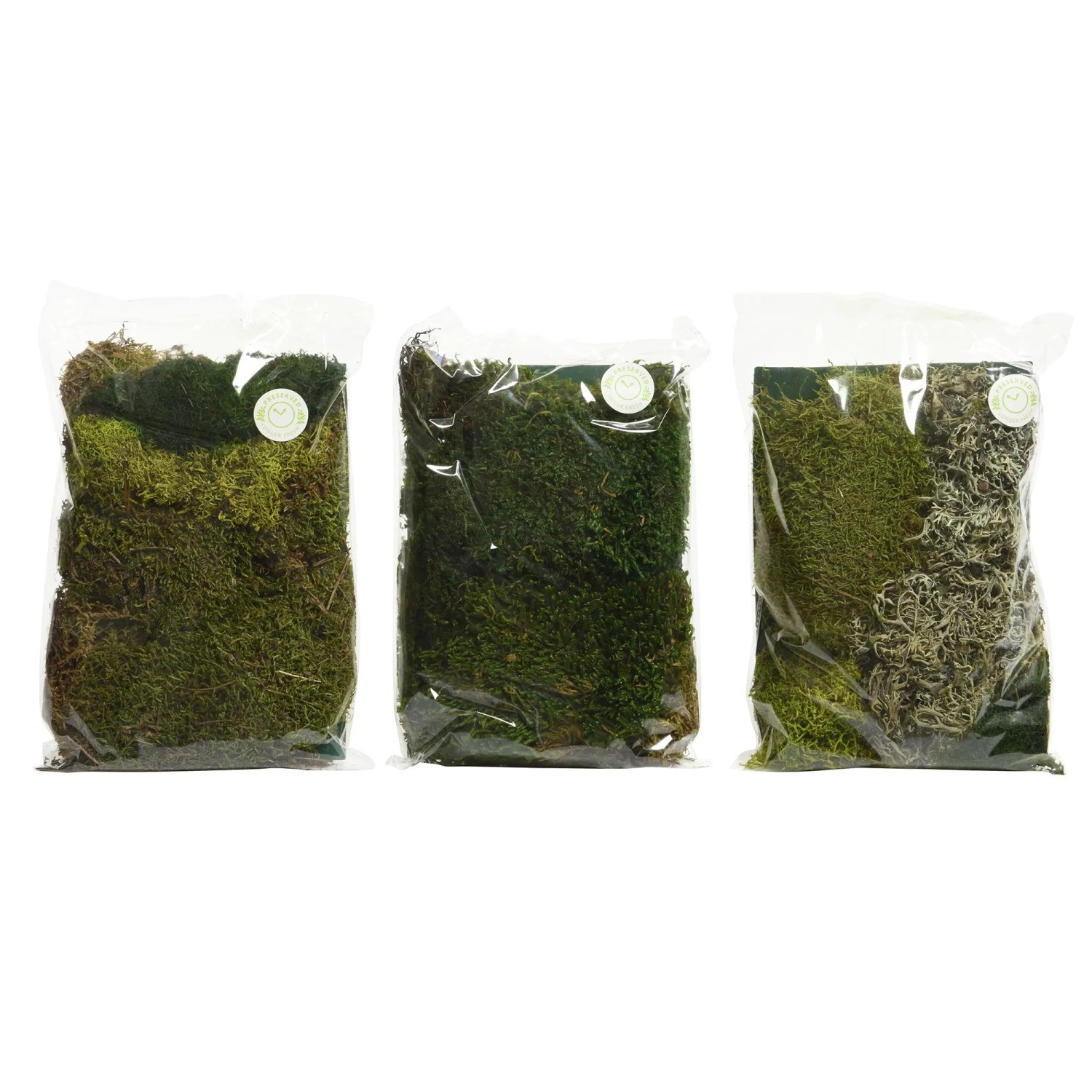 Decoris Deko-Set Moos 3-fach Sortiert